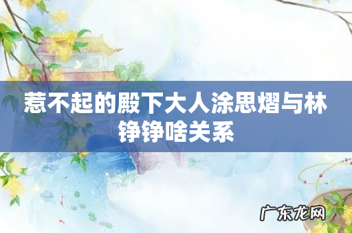 惹不起的殿下大人涂思熠与林铮铮啥关系