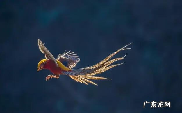 南宁江南区风水宝地 南宁五象岭风水宝地