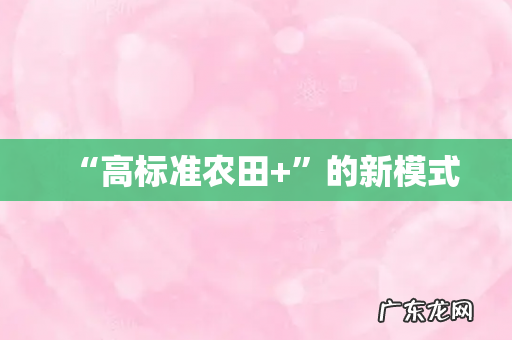 “高标准农田+”的新模式