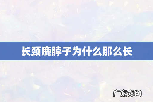 长颈鹿脖子为什么那么长
