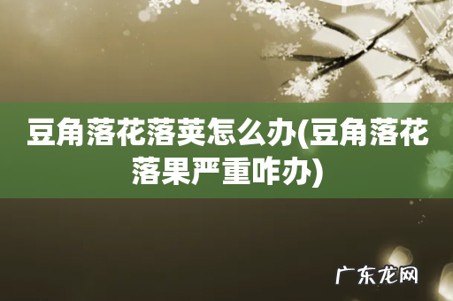 豆角落花落果严重咋办 豆角落花落荚怎么办