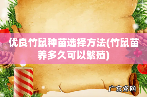 竹鼠苗养多久可以繁殖 优良竹鼠种苗选择方法