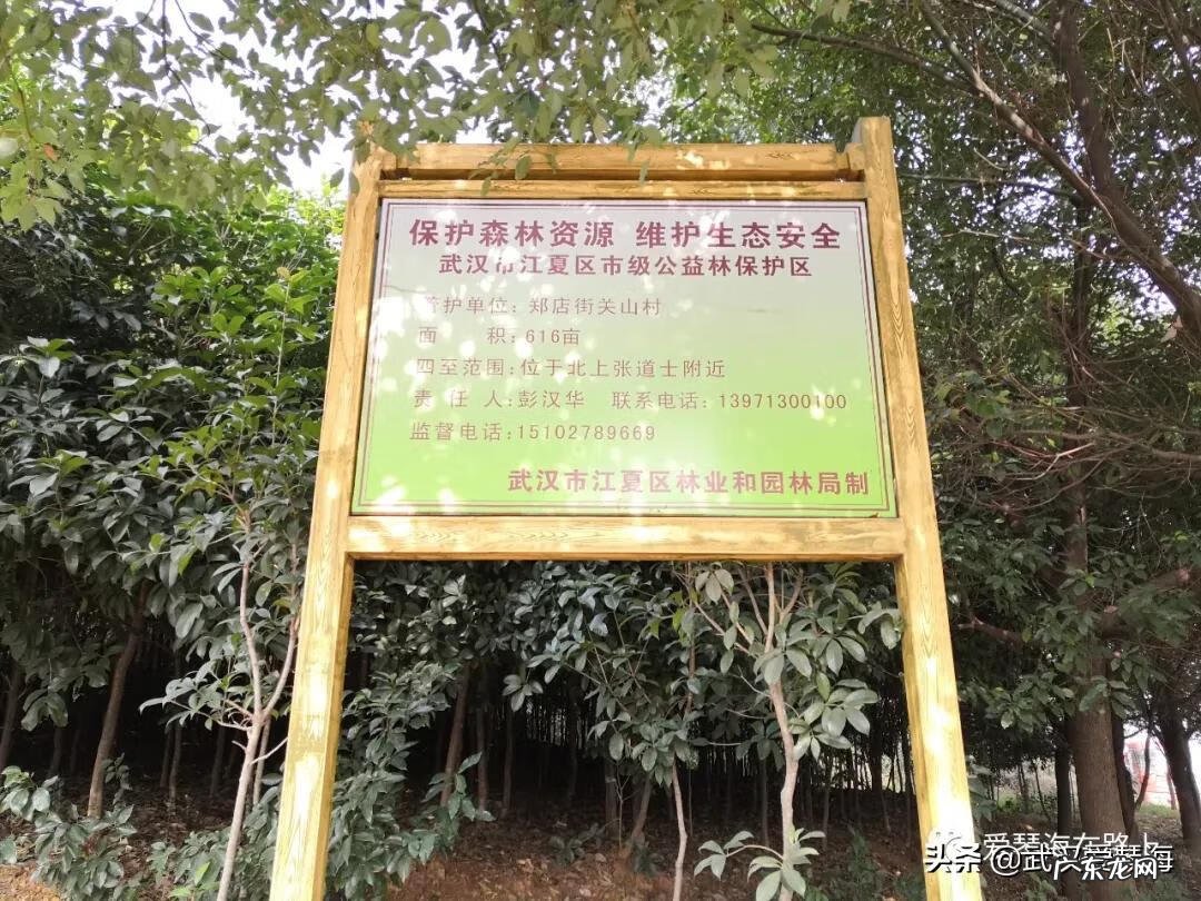 江夏青龙山风景区 江夏区青龙山风景区