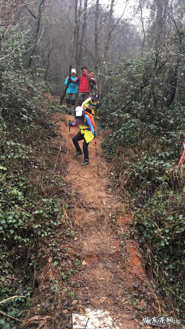 江夏青龙山风景区 江夏区青龙山风景区