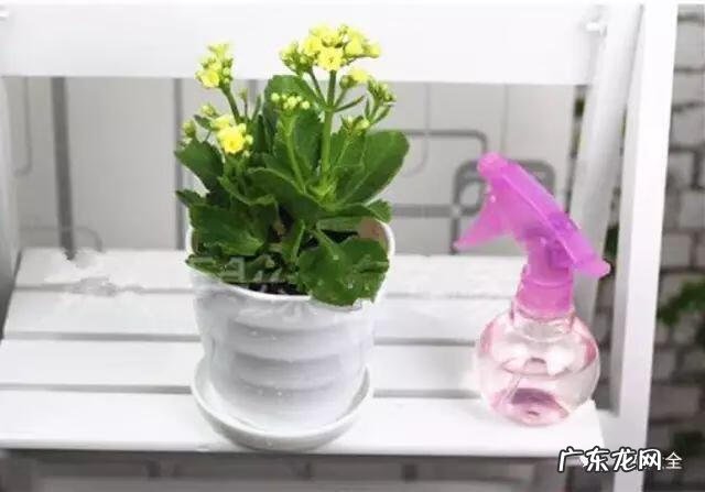 好风水向偏一点影响大吗 东南方位摆放什么好风水