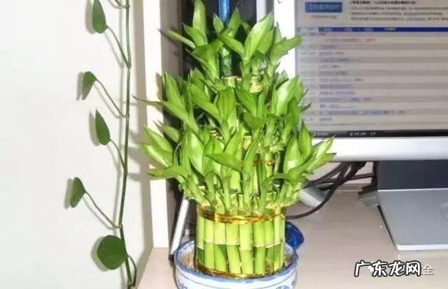 好风水向偏一点影响大吗 东南方位摆放什么好风水