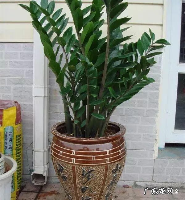 好风水向偏一点影响大吗 东南方位摆放什么好风水