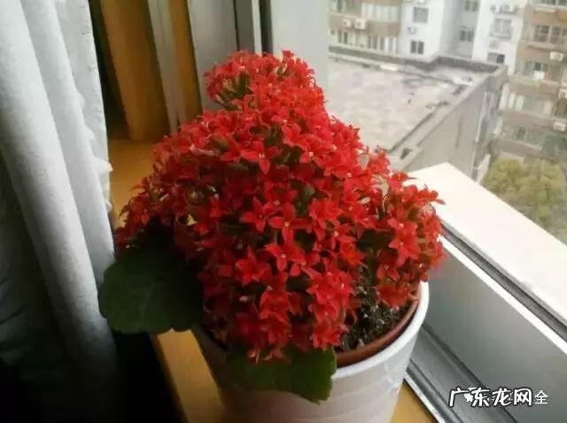 好风水向偏一点影响大吗 东南方位摆放什么好风水