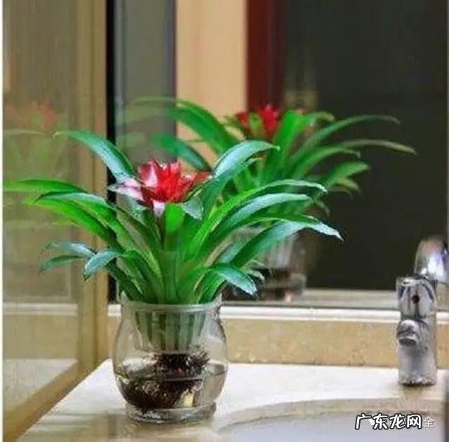 好风水向偏一点影响大吗 东南方位摆放什么好风水