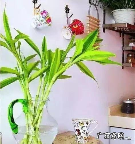 好风水向偏一点影响大吗 东南方位摆放什么好风水