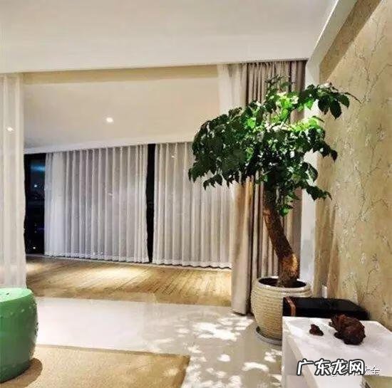 好风水向偏一点影响大吗 东南方位摆放什么好风水