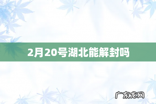 2月20号湖北能解封吗