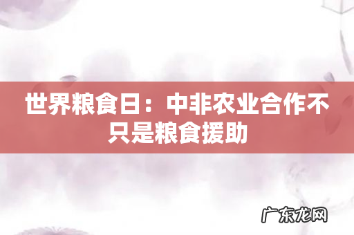 世界粮食日:中非农业合作不只是粮食援助