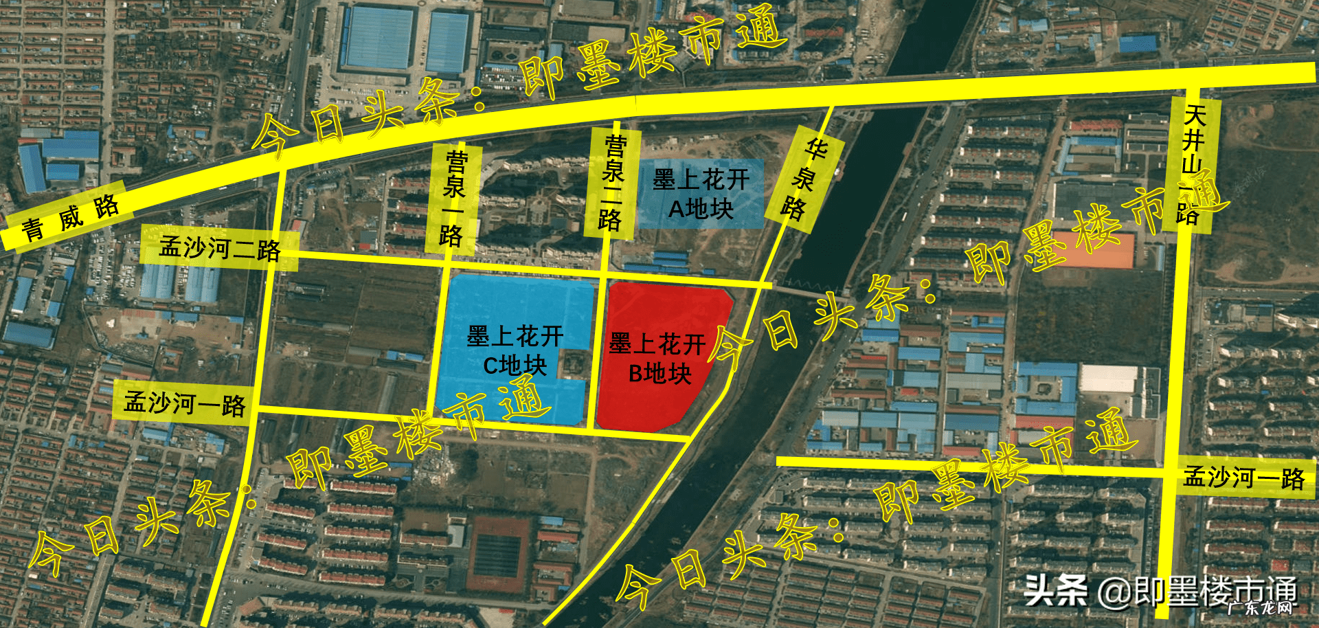 即墨墨上花开在什么位置 即墨墨上花开位置怎么样