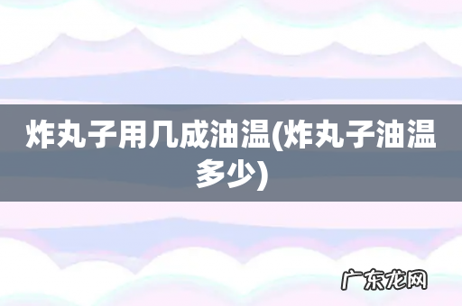 炸丸子油温多少 炸丸子用几成油温
