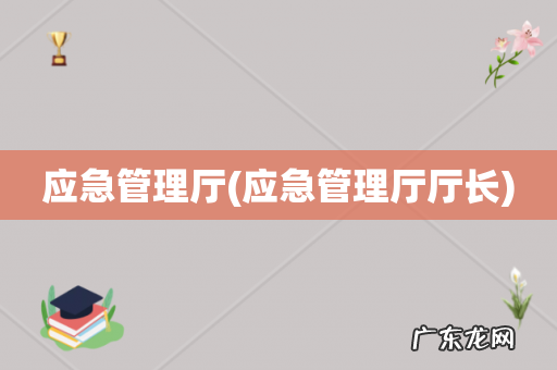 应急管理厅厅长 应急管理厅