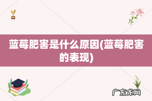 蓝莓肥害的表现 蓝莓肥害是什么原因