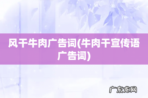 牛肉干宣传语广告词 风干牛肉广告词
