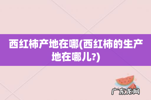 西红柿的生产地在哪儿? 西红柿产地在哪