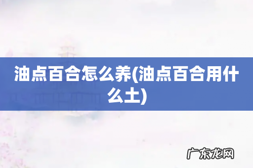 油点百合用什么土 油点百合怎么养
