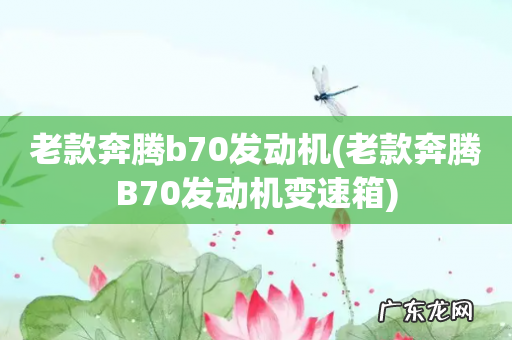 老款奔腾B70发动机变速箱 老款奔腾b70发动机