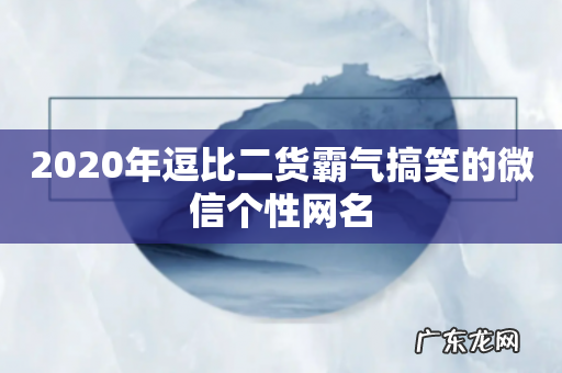 2020年逗比二货霸气搞笑的微信个性网名