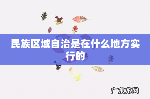 民族区域自治是在什么地方实行的