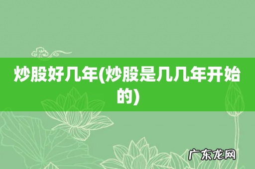 炒股是几几年开始的 炒股好几年
