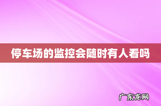 停车场的监控会随时有人看吗
