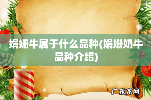 娟姗奶牛品种介绍 娟姗牛属于什么品种