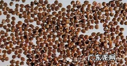 根治糖尿病偏方 治糖尿病小偏方