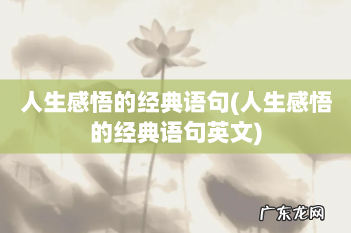 人生感悟的经典语句英文 人生感悟的经典语句