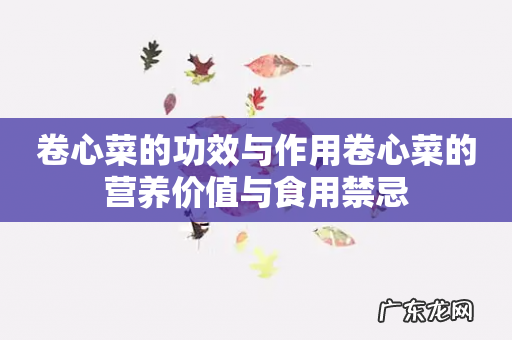 卷心菜的功效与作用卷心菜的营养价值与食用禁忌