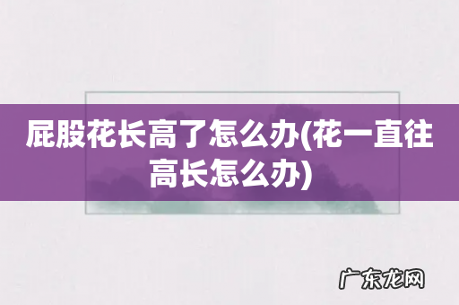 花一直往高长怎么办 屁股花长高了怎么办