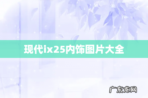 现代ix25内饰图片大全
