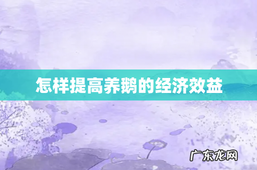 怎样提高养鹅的经济效益