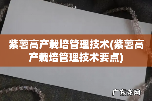 紫薯高产栽培管理技术要点 紫薯高产栽培管理技术