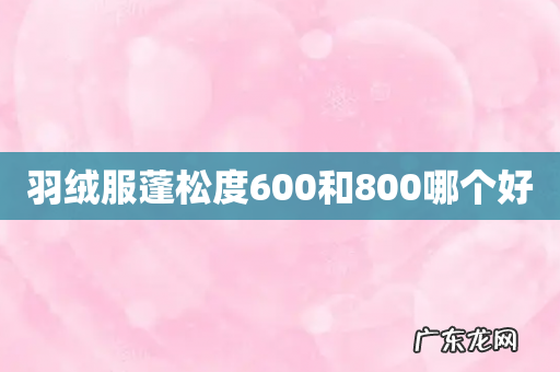 羽绒服蓬松度600和800哪个好