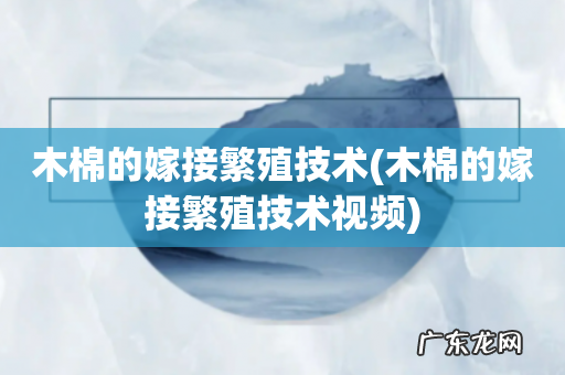 木棉的嫁接繁殖技术视频 木棉的嫁接繁殖技术