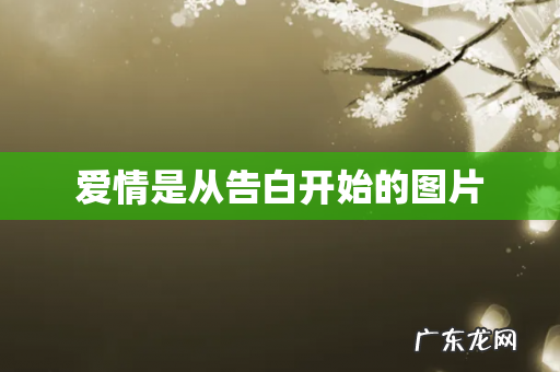 爱情是从告白开始的图片