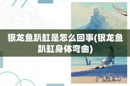 银龙鱼趴缸身体弯曲 银龙鱼趴缸是怎么回事