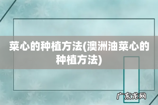 澳洲油菜心的种植方法 菜心的种植方法