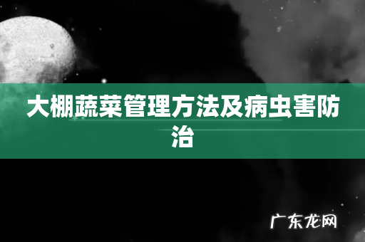 大棚蔬菜管理方法及病虫害防治