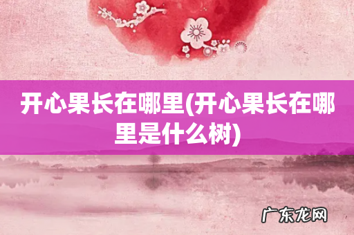 开心果长在哪里是什么树 开心果长在哪里
