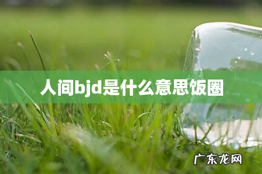 人间bjd是什么意思饭圈