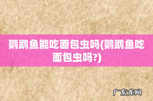 鹦鹉鱼吃面包虫吗? 鹦鹉鱼能吃面包虫吗