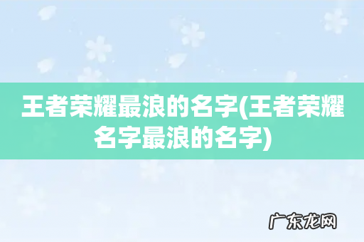 王者荣耀名字最浪的名字 王者荣耀最浪的名字