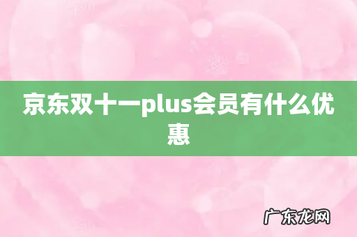 京东双十一plus会员有什么优惠