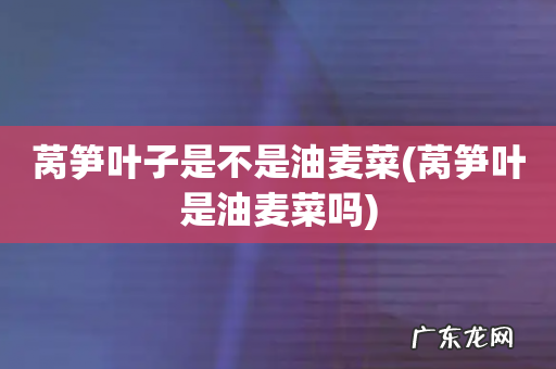 莴笋叶是油麦菜吗 莴笋叶子是不是油麦菜