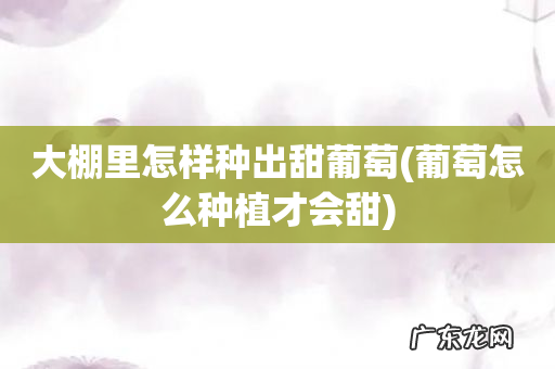 葡萄怎么种植才会甜 大棚里怎样种出甜葡萄
